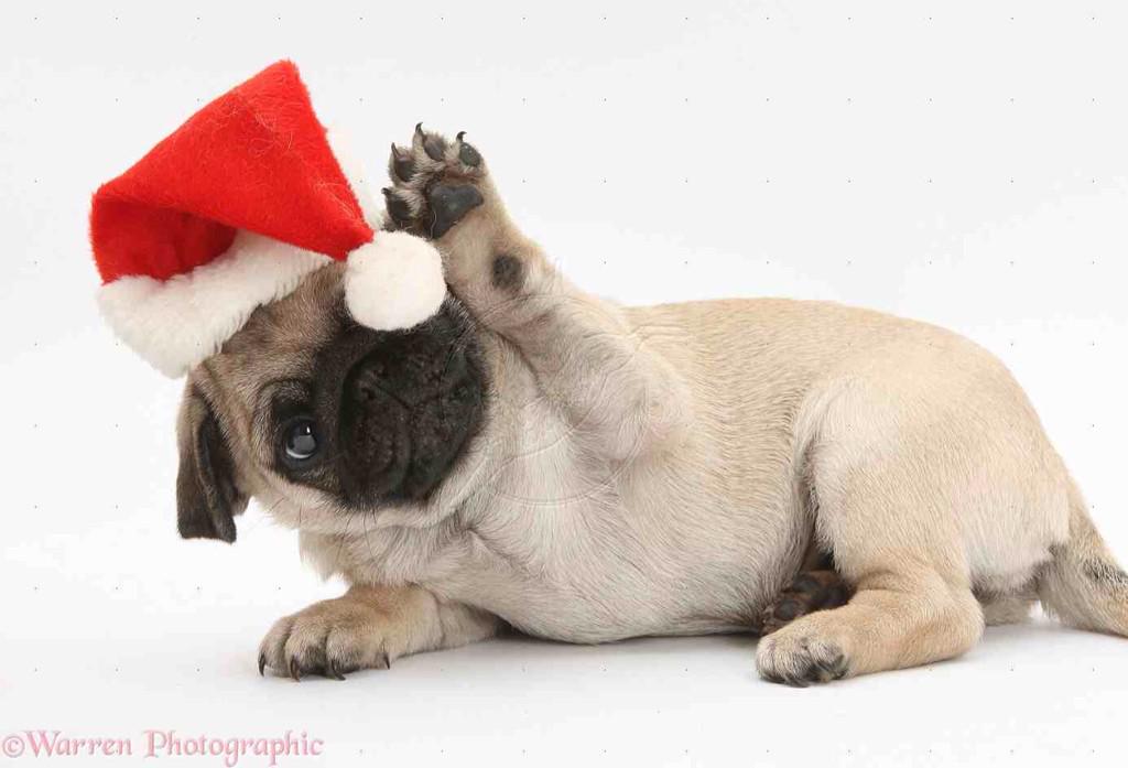 GUpfold's tweet photo. This is all I want for Xmas please @KayleighThorne ;) thanks. http://t.co/d9LipvwdPW
