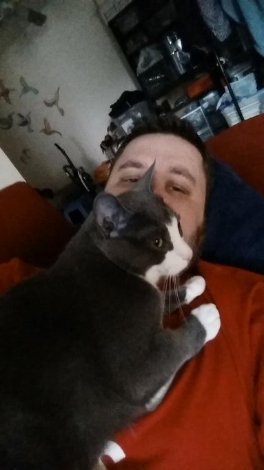 Someone missed me :) #lazyday http://t.co/iePlITVVy6<a href="/tag/lazyday"class="tags">#lazyday</a>