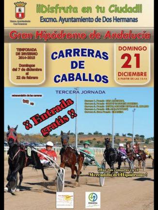 el_belador's tweet photo. #Trot #GranHipodomodeAndalucia http://t.co/vcT5UAu6LI