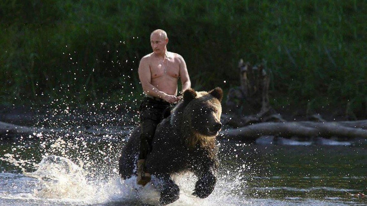 FearDept's tweet photo. Putin on our fear-mongering, Coca-Cola, and life as a bear. http://t.co/3LKDaJ3Vk0 #FearPutin http://t.co/dtSkQNbbND