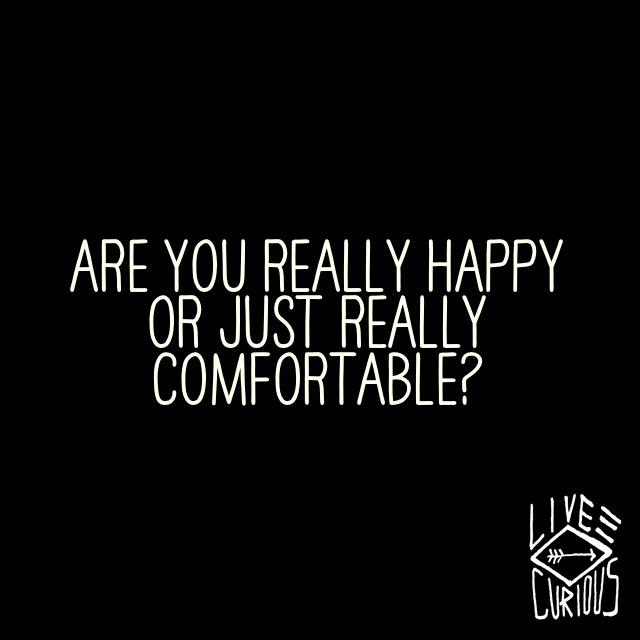 toddclark's tweet photo. Live courageously &amp; curiously today. http://t.co/5vto7JPgeY