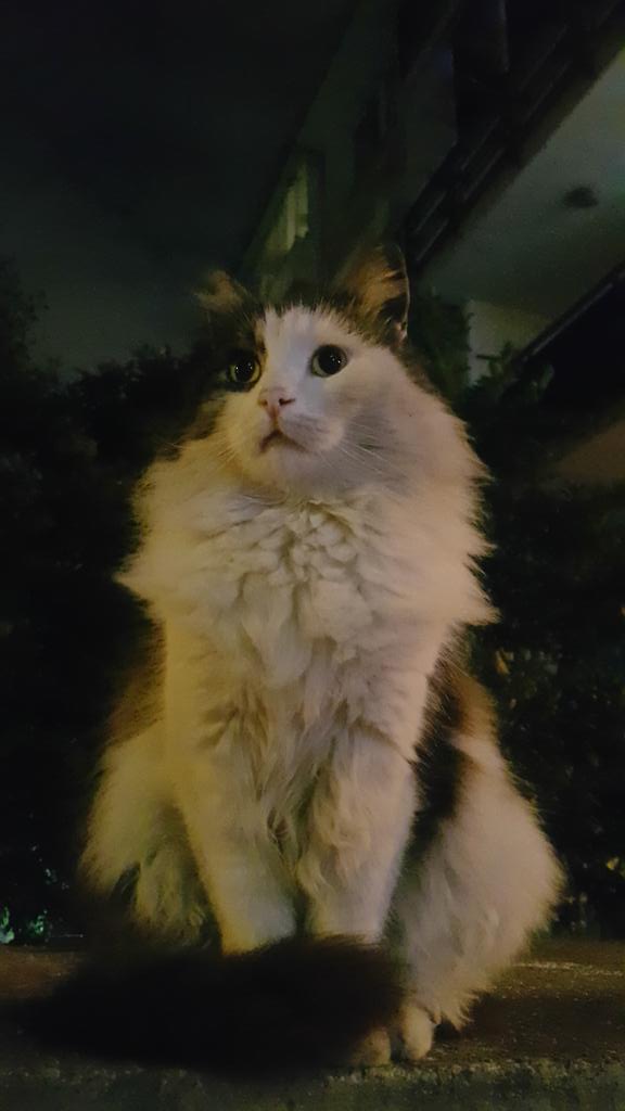 Apartma görevlimiz bızdık