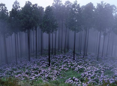 placeforthesoul's tweet photo. places I'd rather be: part 298 http://t.co/HqpNQcwseV