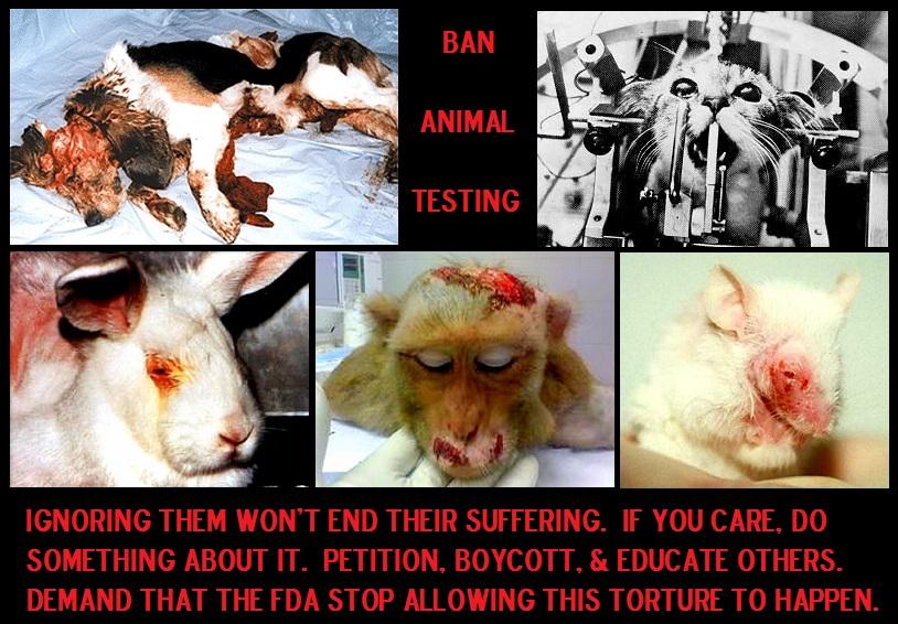 Animal testing