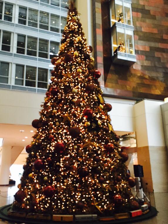 AllyandAng's tweet photo. @UnionPacific in all of its Holiday Glory #LunchTimeAdventures #Omaha http://t.co/FPyn0ECOdS
