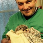 Photo by Allcare Veterinary (@DannyAllcare)