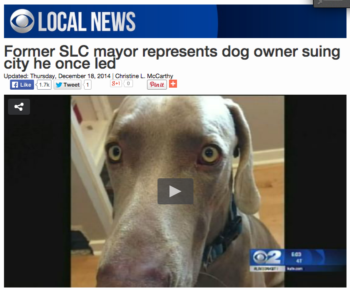 JusticeForGeist's tweet photo. Former SLC Mayor Represents Dog Owner Suing City  http://t.co/TsourVMhxJ @KUTV2News #justiceforgeist #puppycide #SLC http://t.co/EAhGAfbIMi