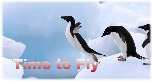 carlosalbarran's tweet photo. @Ronny_K Never dissapoints come on #eoyc2014 time to fly #upliftingGeneration http://t.co/AJ3pYIRhcl