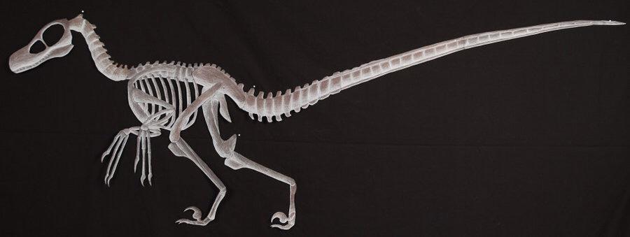 MrMorganBranch's tweet photo. @timandsid @Sportsnet we should use this as Raptor logo because this will be our faith if we let Drake stick around. http://t.co/dmre4muFs9