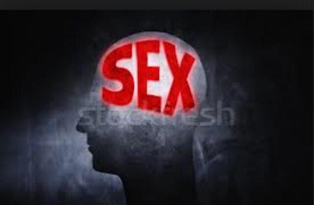 OStarterpack's tweet photo. The #TierneyKing starter pack http://t.co/ltSOqDS4Rr