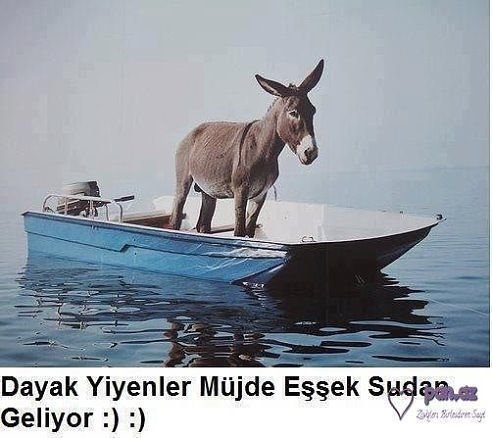 Ali16027670's tweet photo. @kas_yaz he he http://t.co/KOFwG8ZHX7