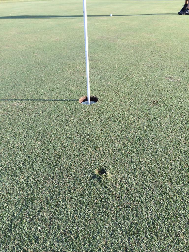 pucoachbrouse's tweet image. Nearly an expensive hole in one first day of camp... #pulledit