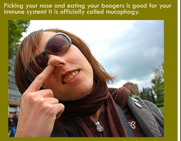 WEIRDEST FACTS (@the_lost_facts) on Twitter photo 