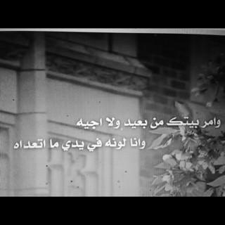 abulintel tweet picture
