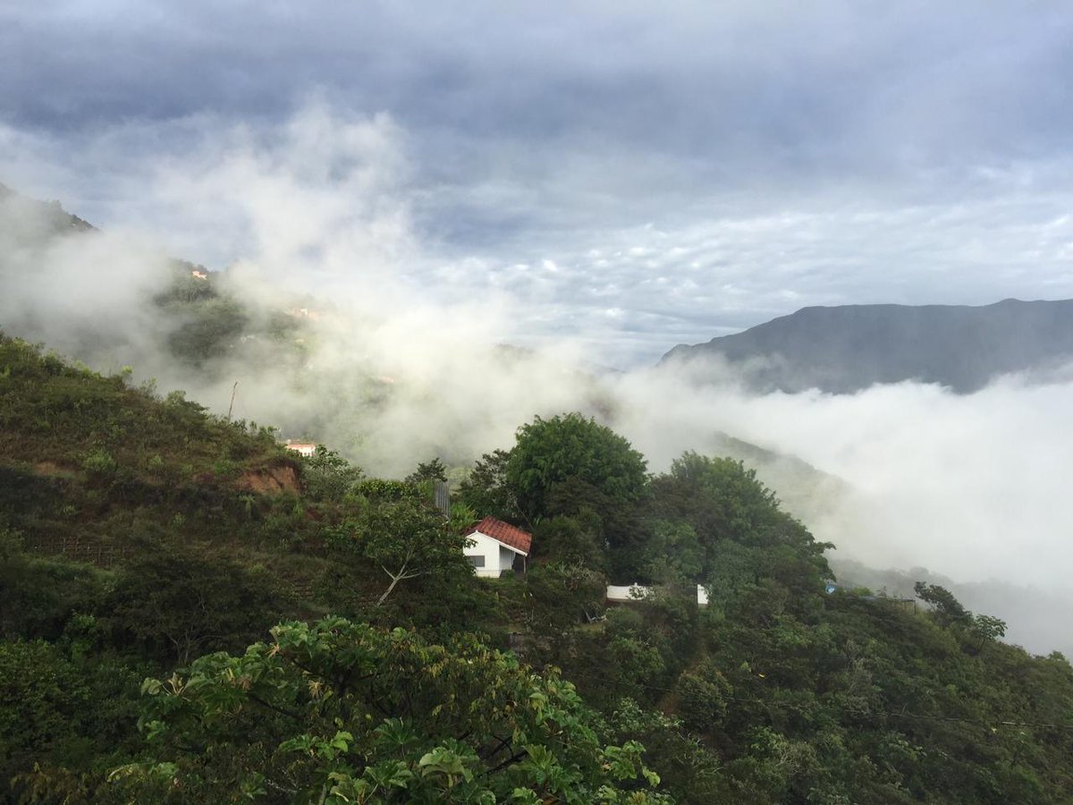 apasionadocafe's tweet photo. http://t.co/OqrULk3GnW is a small, 25 acres farm, in the cloud forest of the Bolivian Andes #coffee #giftguide2014 http://t.co/MGTsT9Mckb
