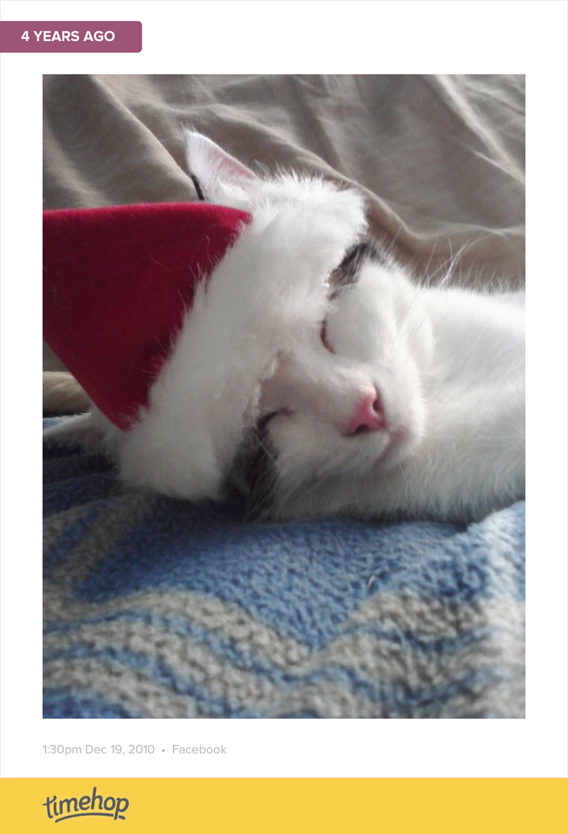 YourFunFamily's tweet photo. AWWWWWWW! I forgot about this one. http://t.co/Mt8yO94laH http://t.co/AlrbvLK4fy