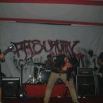 Photo by Rizky Suhermono (@rizkyArabus)