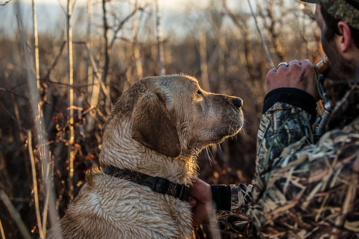 BassProShops's tweet photo. A dog is the only thing on earth that loves you more than he loves himself. -Josh Billings http://t.co/EYXrHVgiX9