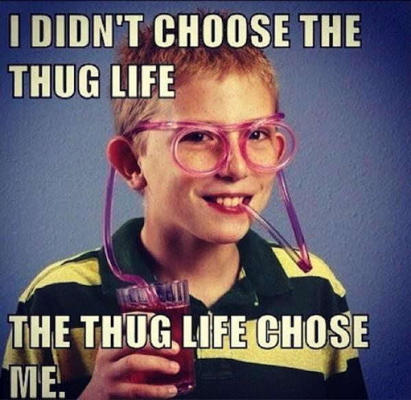 getyakkity's tweet photo. Happy Friday! Keep it gangster! #GoGetChitter http://t.co/hnUdw3rRzr
