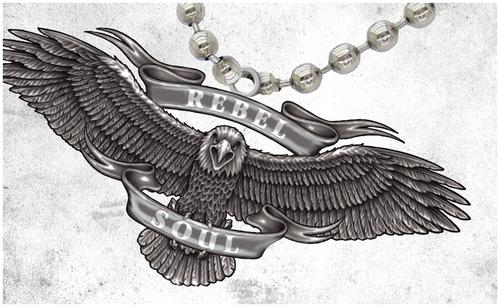 mpublicover's tweet photo. @KidRock Trying to score a Rebel Soul eagle pendant without the cd and shirt that comes from #TopSpinMedia, Pls help! http://t.co/9TyCYjw3De