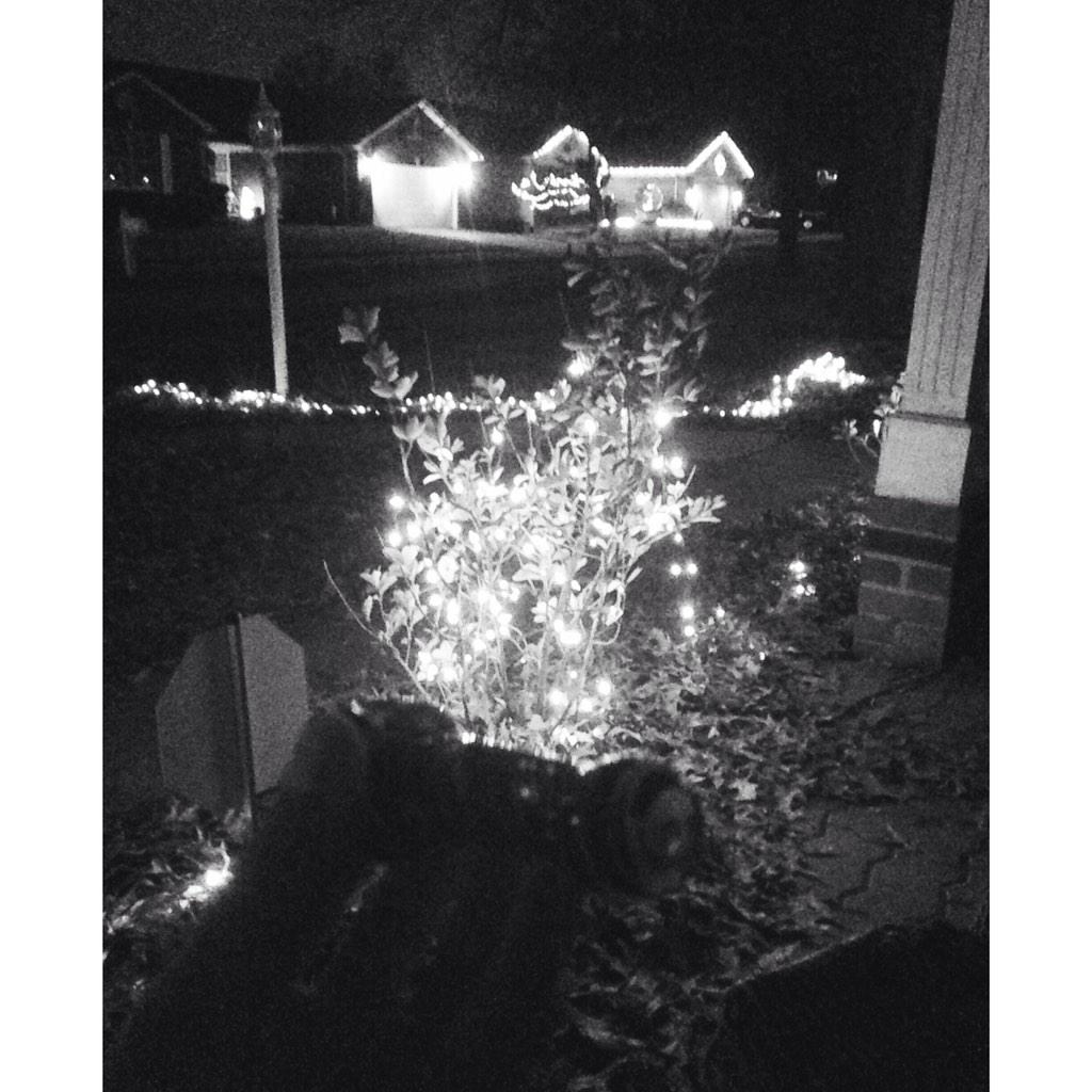 SnapchatView's tweet image. St.Louis, MO.

Smoking outside at night, when Christmas lights are up &amp;gt;&amp;gt;