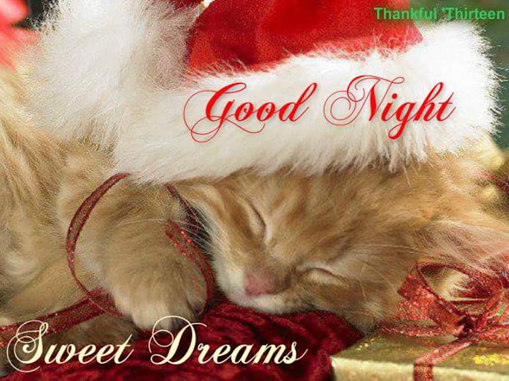 Good night Amazing Archuland and the Birthday boy . Love that Happy 24th David Archuleta wwtt party 