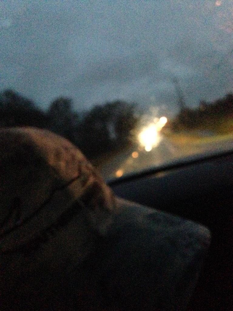 Gentry Stevens tweet media