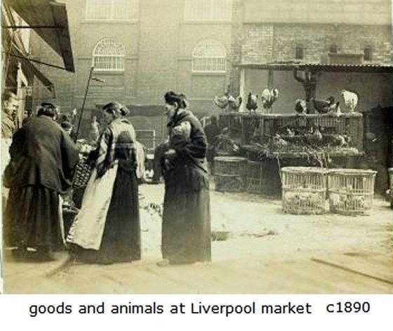 "<a href="/LpMarketTraders/">LiverMarketTraders</a> <a href="/Liverpool1207/">Liverpool1207</a> Bargains galore yesterday