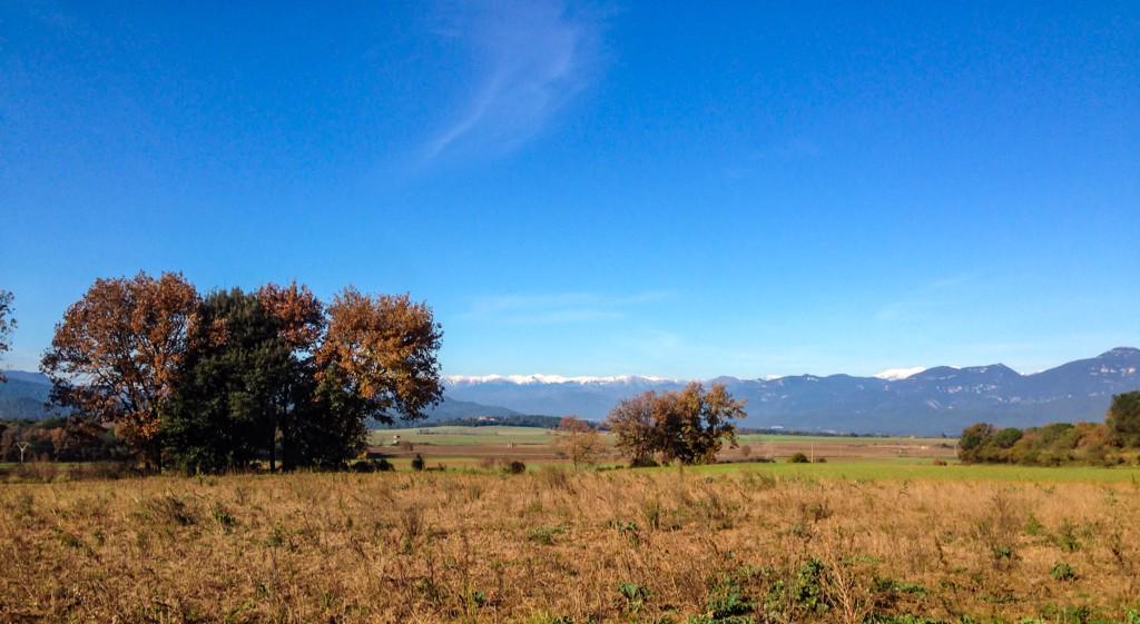 socmed_agent's tweet photo. Life is spectacular! Get out and enjoy it! http://t.co/hcnoFfIIEl