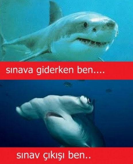 becausebadguy's tweet image. 