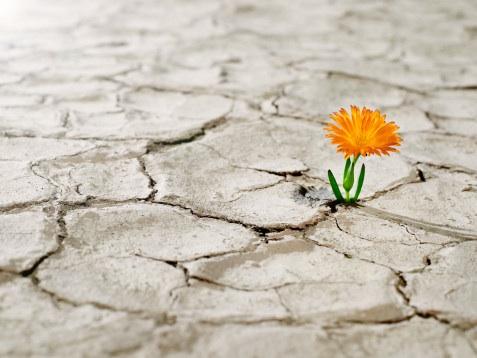 AADEMesclerosis's tweet photo. Siempre pase lo que pase hay una esperanza, no te desanimes y sigue luchando... http://t.co/SFk1v4Nkek