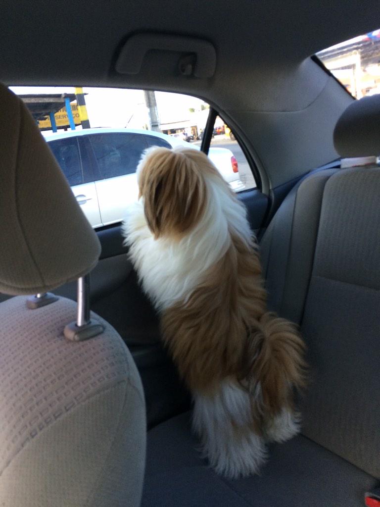 Geraldo Alves Diniz (@geraldoalvesdin) on Twitter photo 