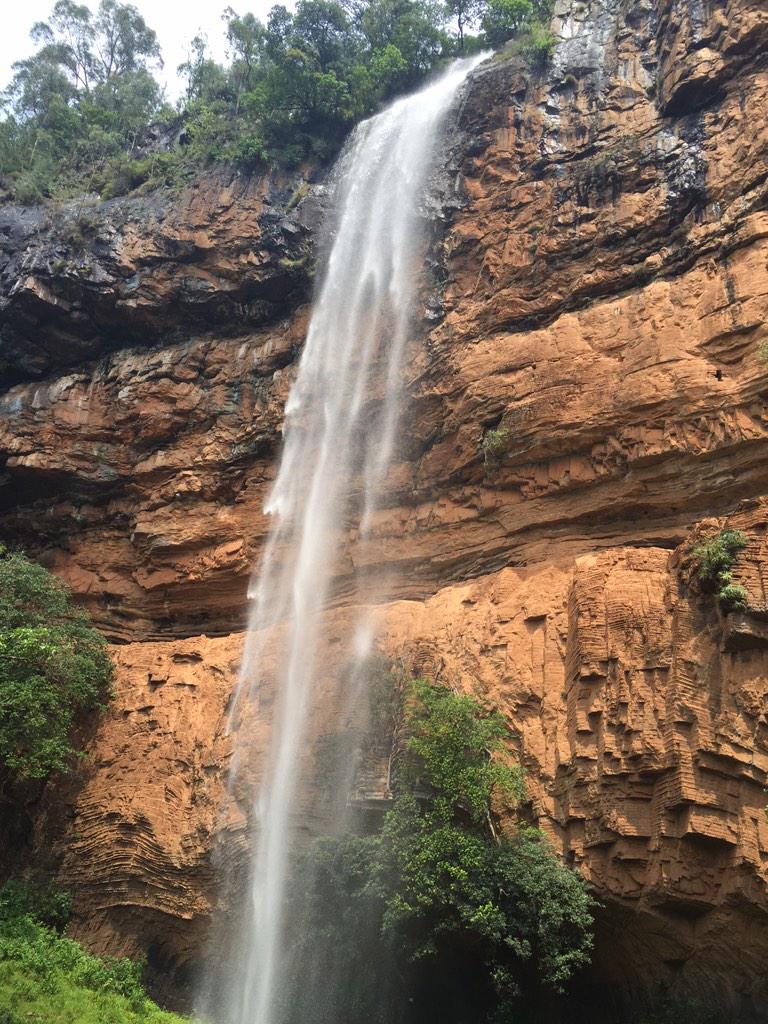 Caroline Wostmann on Twitter "Gabby mtb with me on my run through the