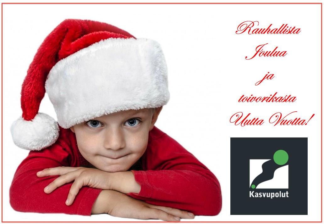 Hyvää Joulua ja toivorikasta Uutta Vuotta 2015! #Kasvupolut