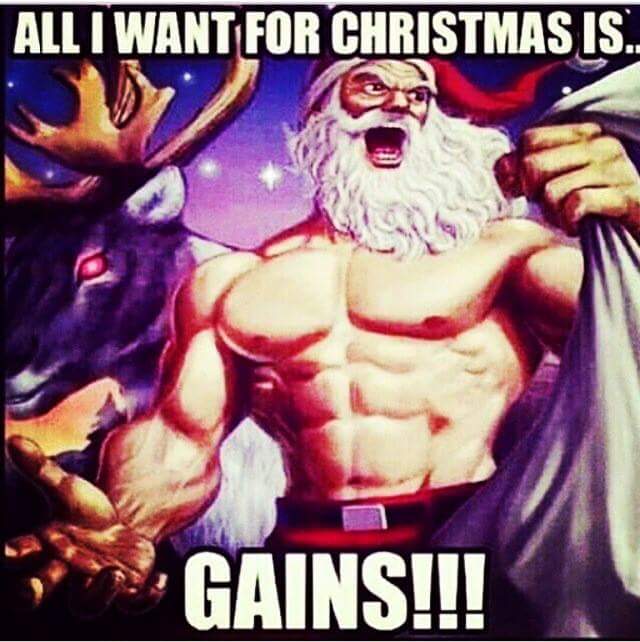 InvictusMuscle's tweet image. What do you guys want for Christmas?