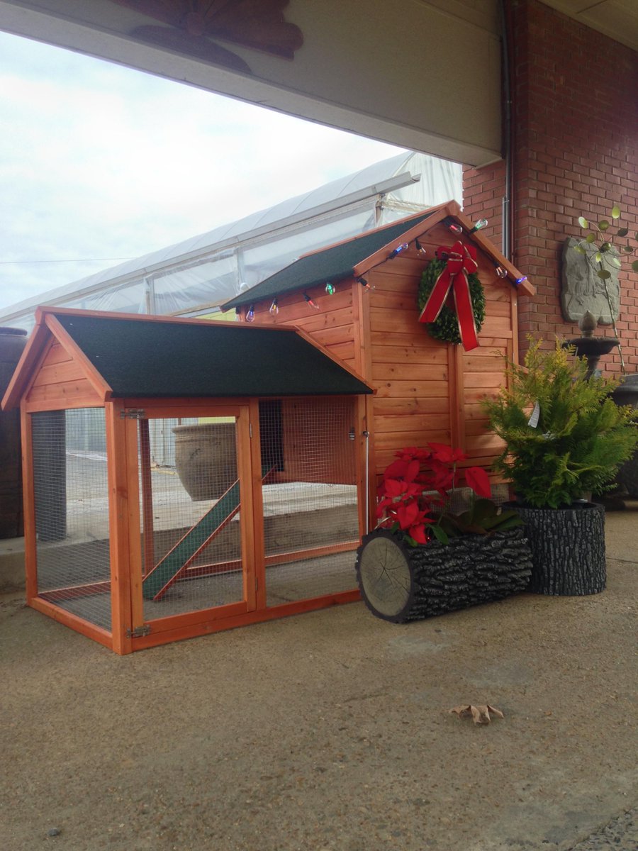 UrbanEarthMem's tweet photo. For you urban farmers out there, don’t your chickens deserve a little festive cheer? http://t.co/XZ2MDljlSi
