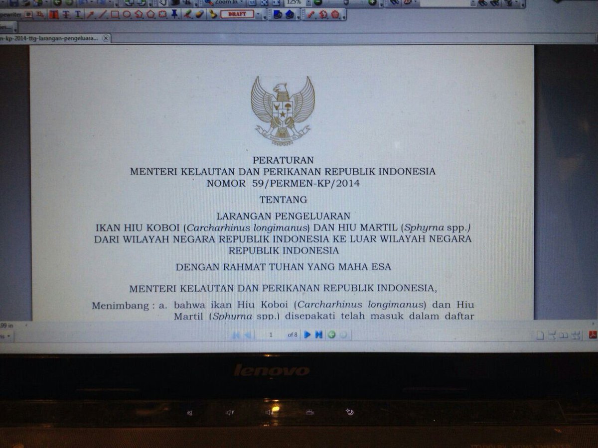 Akhirnya keluar jg permen KP No. 59 ttg pelarangan ekspor hiu koboi dan martil   #SOSharks #savesharks