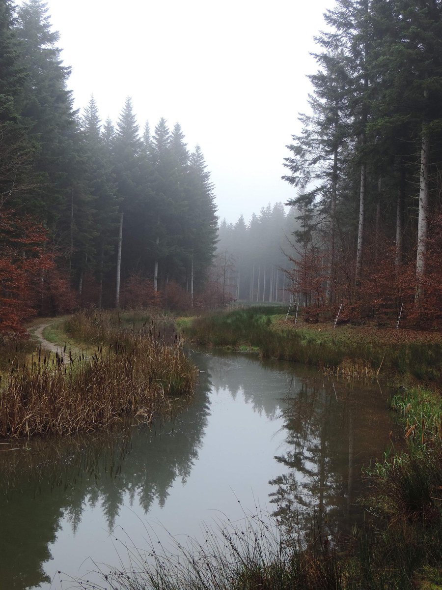 <a href="/CP_troisforets/">CP</a> <a href="/centerparcsfr/">Center Parcs France</a> Tout simplement génial et reposant !