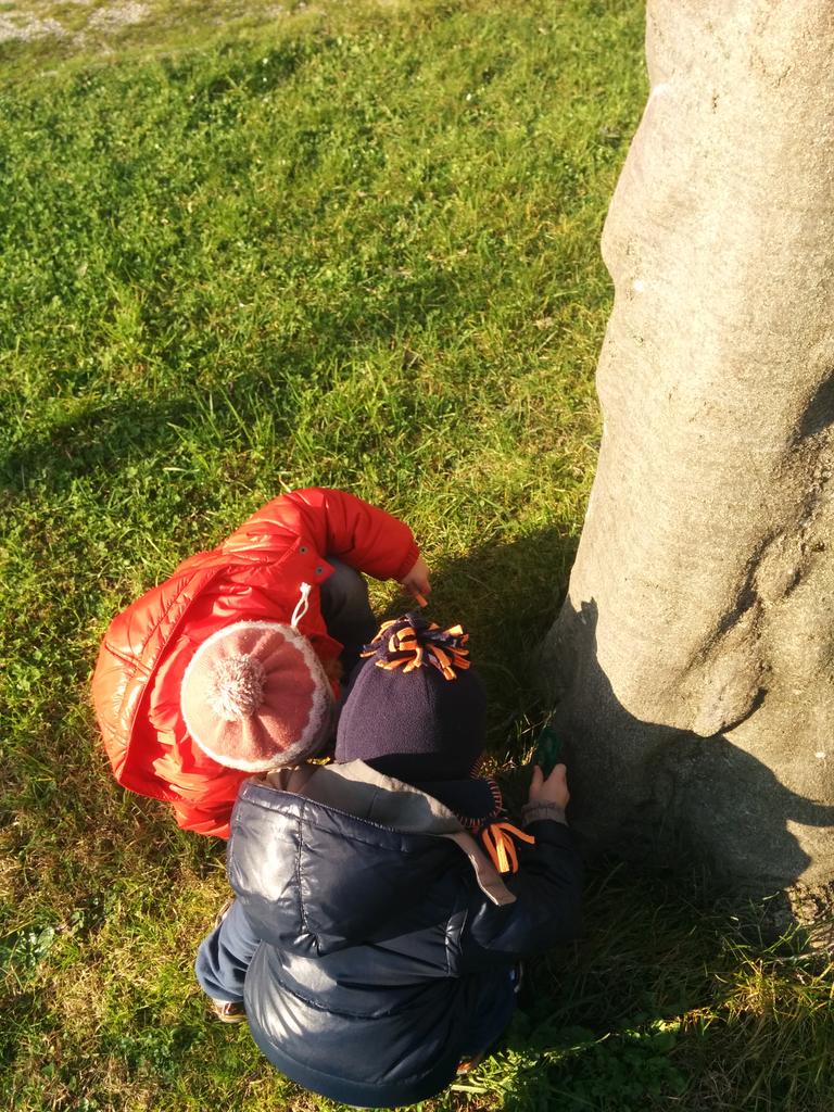 GenitoriOutdoor's tweet photo. Post pranzo in giardino per digerire meglio e svegliare le idee #allaperto #gioco #giocare #outdoorsplay http://t.co/RFf9pO9lG4