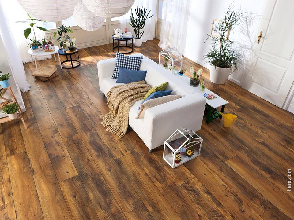 BakerTrading's tweet photo. the quietest #wood flooring from Haro #German made now at our new branch at Anas bin Malik street #Ritadh #KSA http://t.co/tiuV3gUSq8
