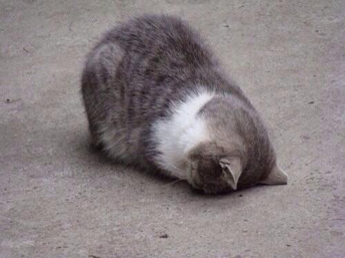 inaurner's tweet photo. Me looking at my friends' subjects like #0units http://t.co/BAYaQTQlG7