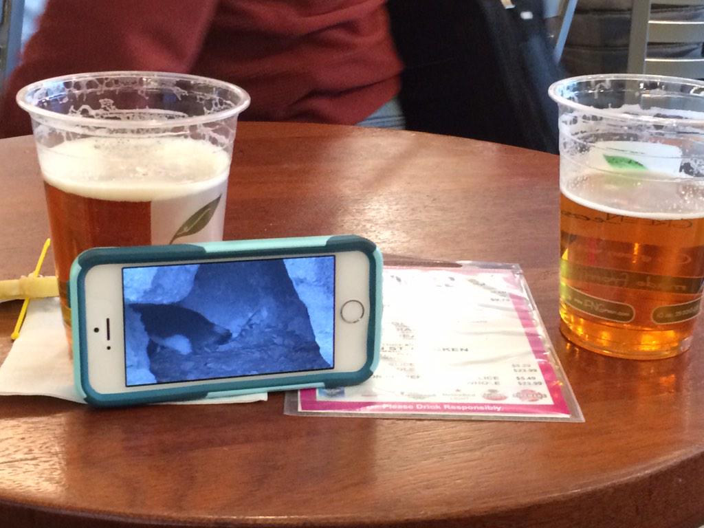 markbond007's tweet photo. @National_Aviary Since visiting, all my wife does now is watch the Penguin cam!!!! It's like we're watching our kids! http://t.co/u0X35aZplC