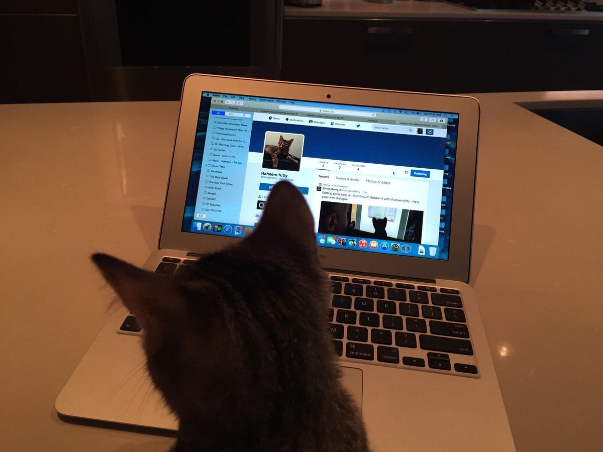 Raheem Kitty tweet media