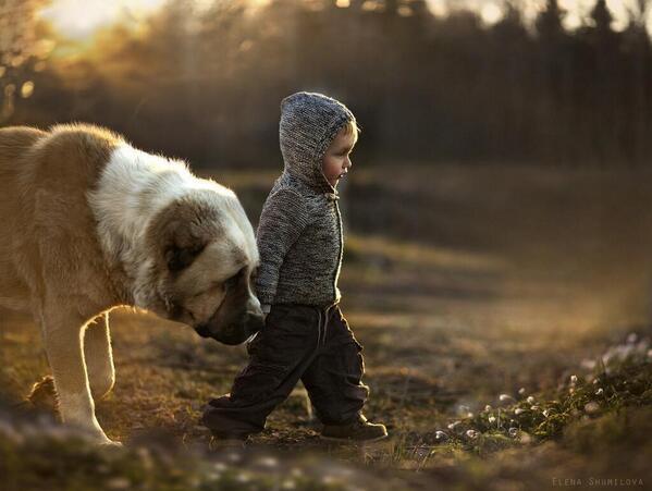 _Paisajes_'s tweet photo. La mejor compañía es la del mejor amigo. http://t.co/qmMMzlpRmS