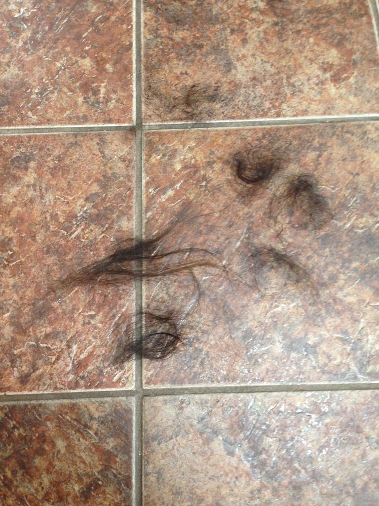 PurellQueen's tweet photo. Just shaved what little hair was left on my head off #reallybaldnow http://t.co/t2PGLqHVTI