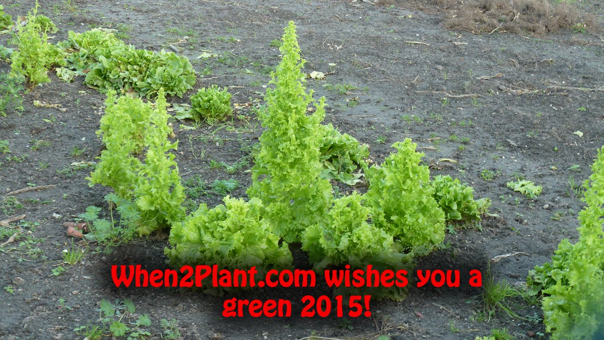 when2plant's tweet image. When2Plant.com wishes you a green 2015!