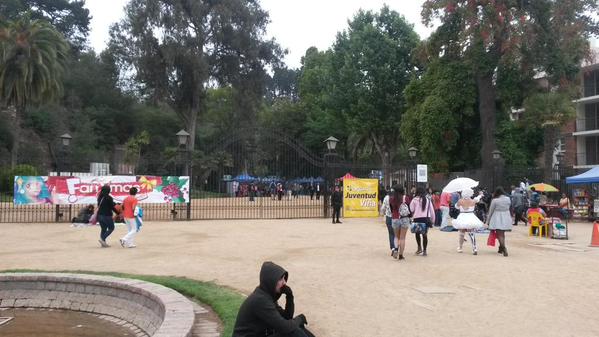 Fan Viña (@fanvina) on Twitter photo Algunas fotos de estas primeras horas del #FanXmas de <a href="/juventudvina/">Juventud Viña</a> Iniciativa de Alcaldesa Virginia Reginato Algunas fotos de estas primeras horas del #FanXmas de <a href="/juventudvina/">Juventud Viña</a> Iniciativa de Alcaldesa Virginia Reginato
