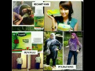TERMURAH! Mw +Tinggi 4-10cm/bln? LANGSING/GEMUK?JERAWAT/PUTIH? Pin:2A7BC222 / CP:082186318110