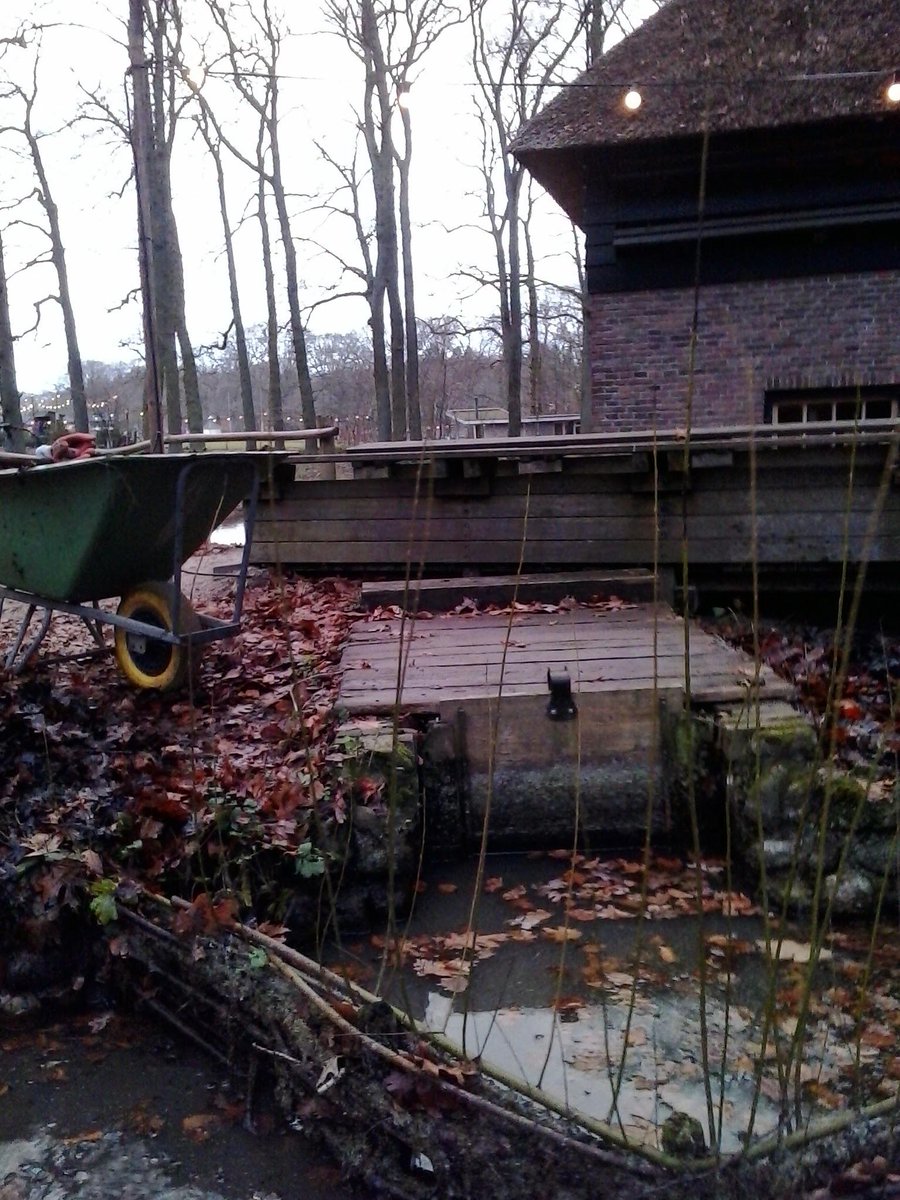 RikTimms's tweet photo. De vijvers van de watermolen op het @Openluchtmuseum zijn schoon! De Bekengroep @IVNZWV werkte graag voor stamppot, http://t.co/S0Wrak69pO