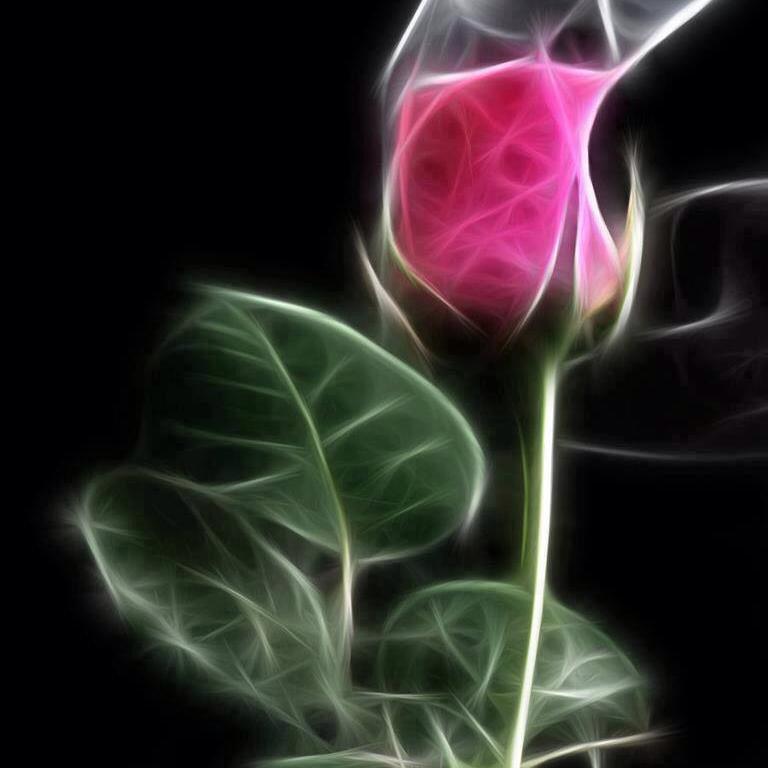 Jafar Bo Abdullah (@y_abdullah70) on Twitter photo 